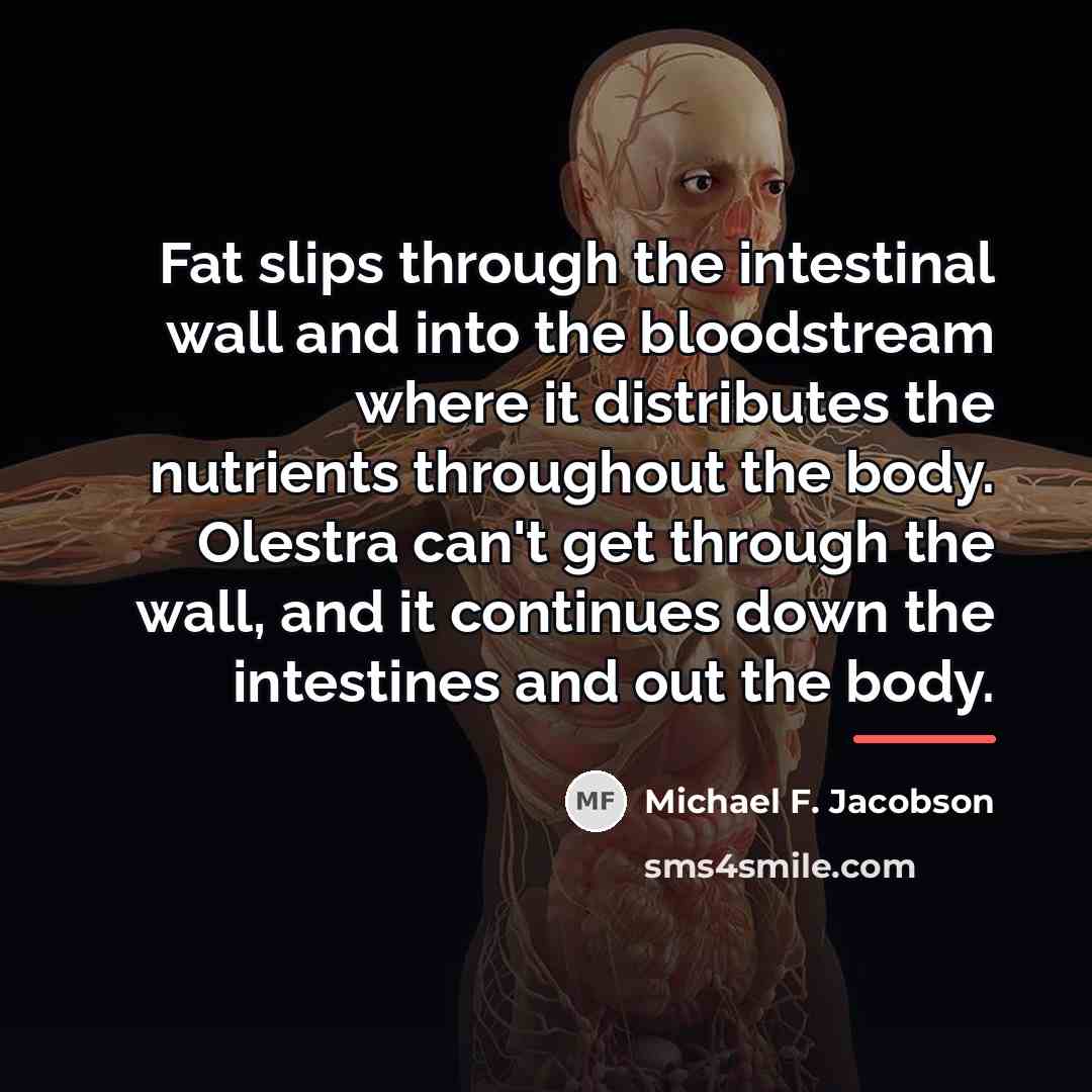 “Fat slips through the intestinal wall and into the bloodstream…” quote by Michael F. Jacobson
