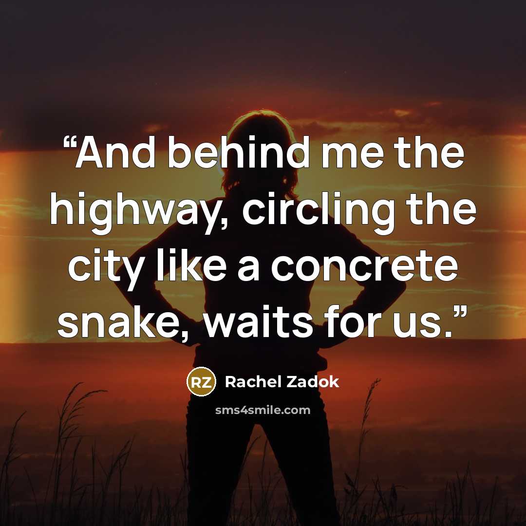 “And behind me the highway, circling the city like a concrete snake, waits for us.” quote by Rachel Zadok