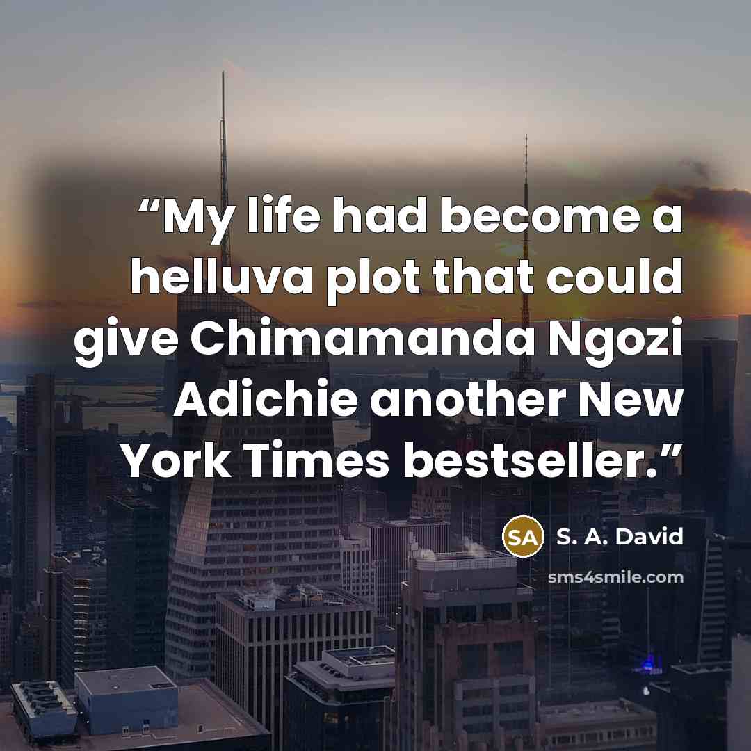 “My life had become a helluva plot that could give Chimamanda Ngozi Adichie another New York Times bestseller.” quote by S. A. David