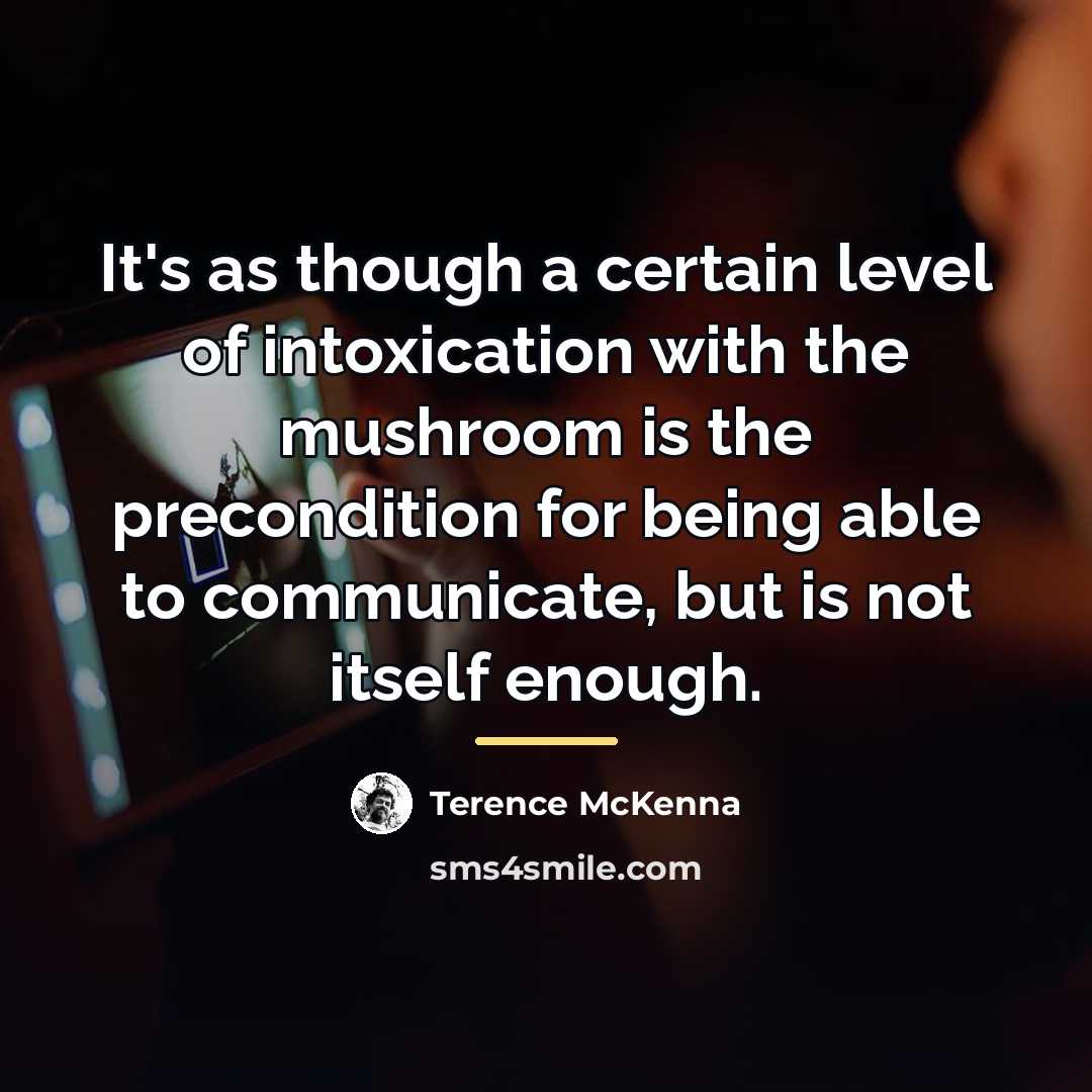 “It's as though a certain level of intoxication with the…” quote by Terence McKenna