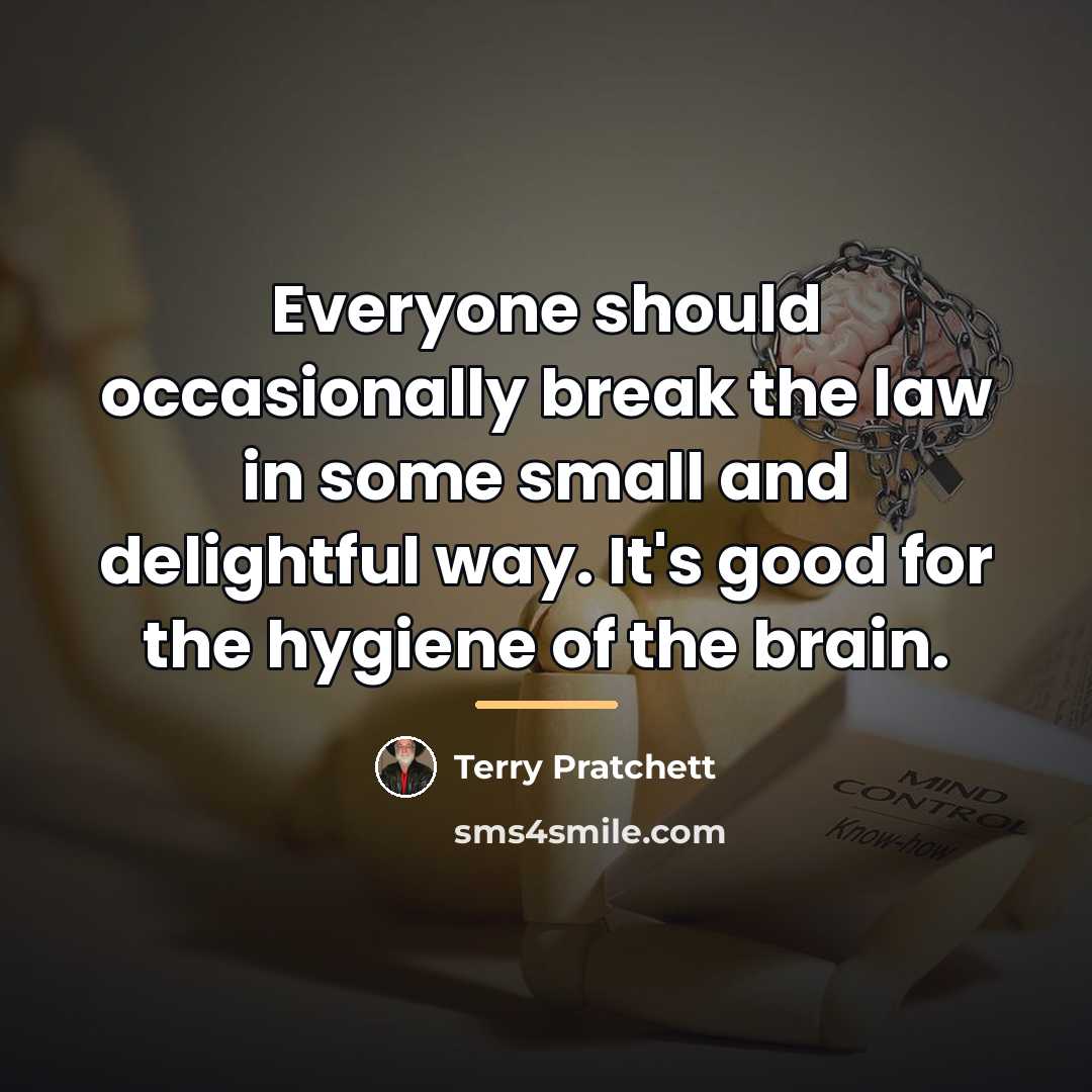 “Everyone should occasionally break the law in some small and…” quote by Terry Pratchett