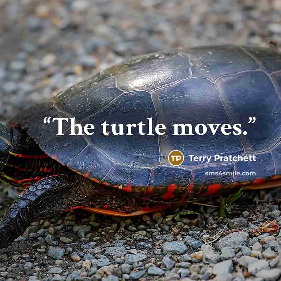 “The turtle moves.” quote by Terry Pratchett