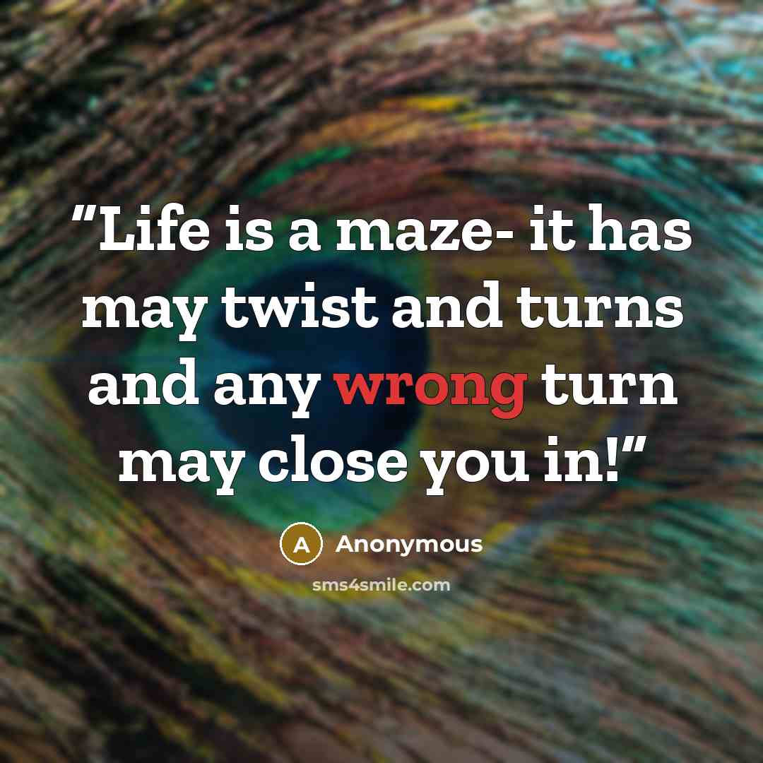 “Life is a maze- it has may twist and turns and any wrong turn may close you in!” quote by Anonymous
