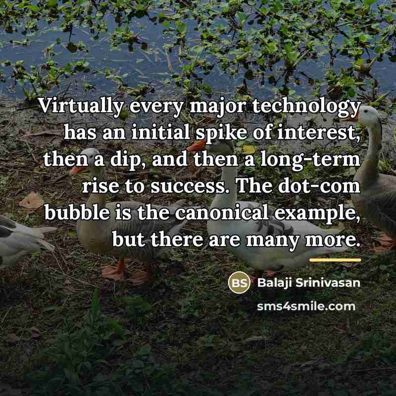 “Virtually every major technology has an initial spike of interest,…” quote by Balaji Srinivasan