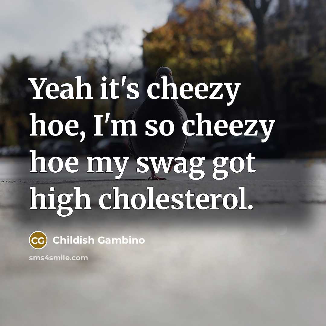 “Yeah it's cheezy hoe, I'm so cheezy hoe my swag…” quote by Childish Gambino
