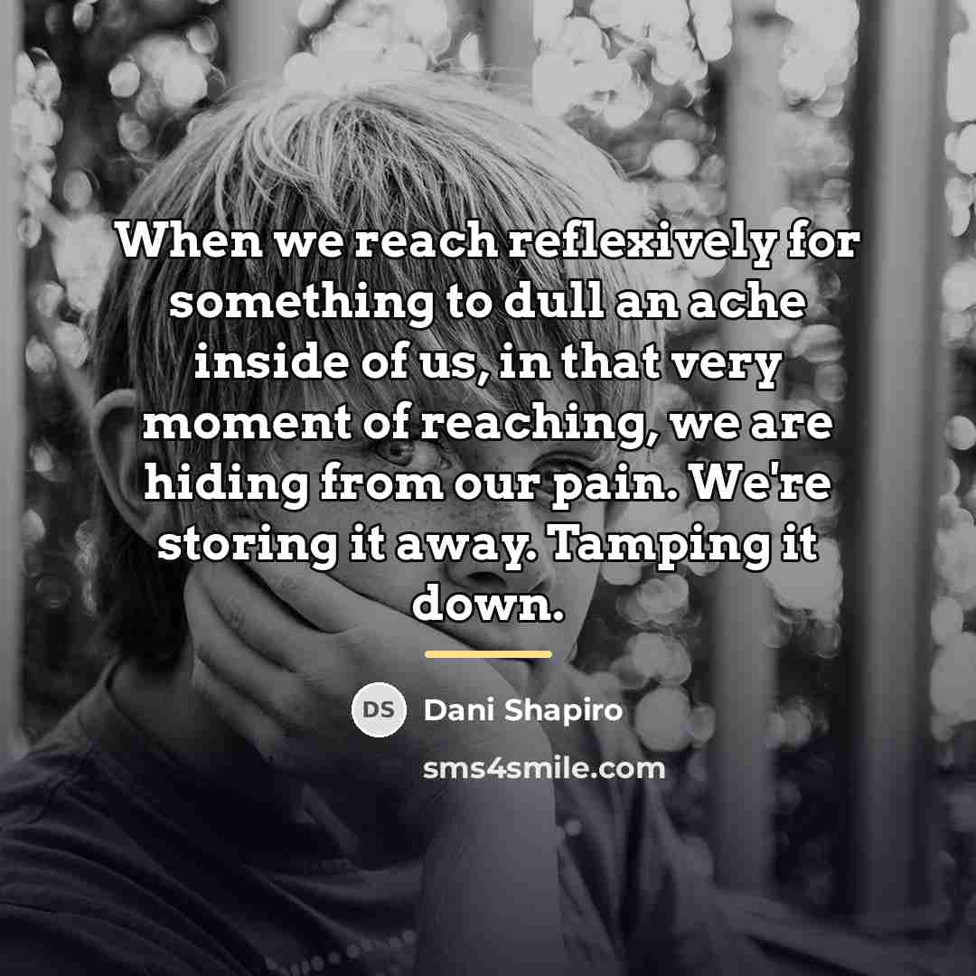 “When we reach reflexively for something to dull an ache…” quote by Dani Shapiro