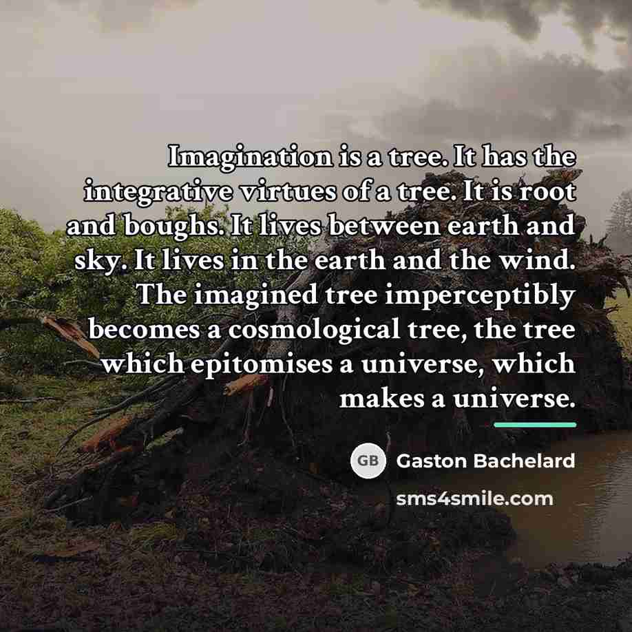 “Imagination is a tree. It has the integrative virtues of…” quote by Gaston Bachelard