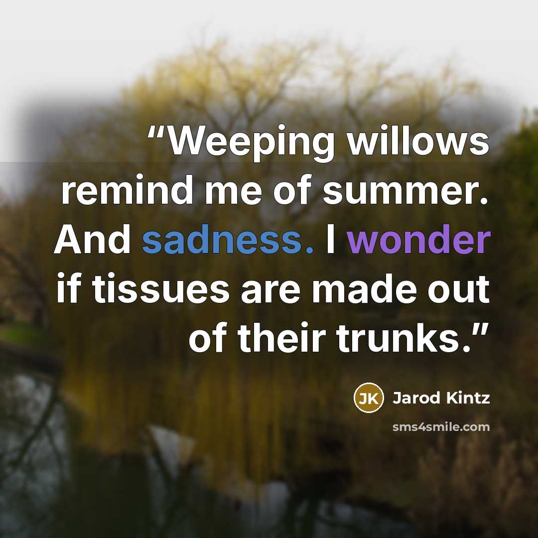 “Weeping willows remind me of summer. And sadness. I wonder if tissues are made out of their trunks.” quote by Jarod Kintz