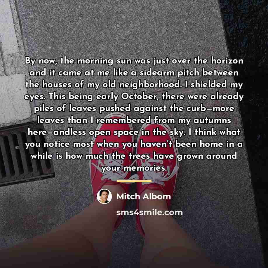 “By now, the morning sun was just over the horizon…” quote by Mitch Albom