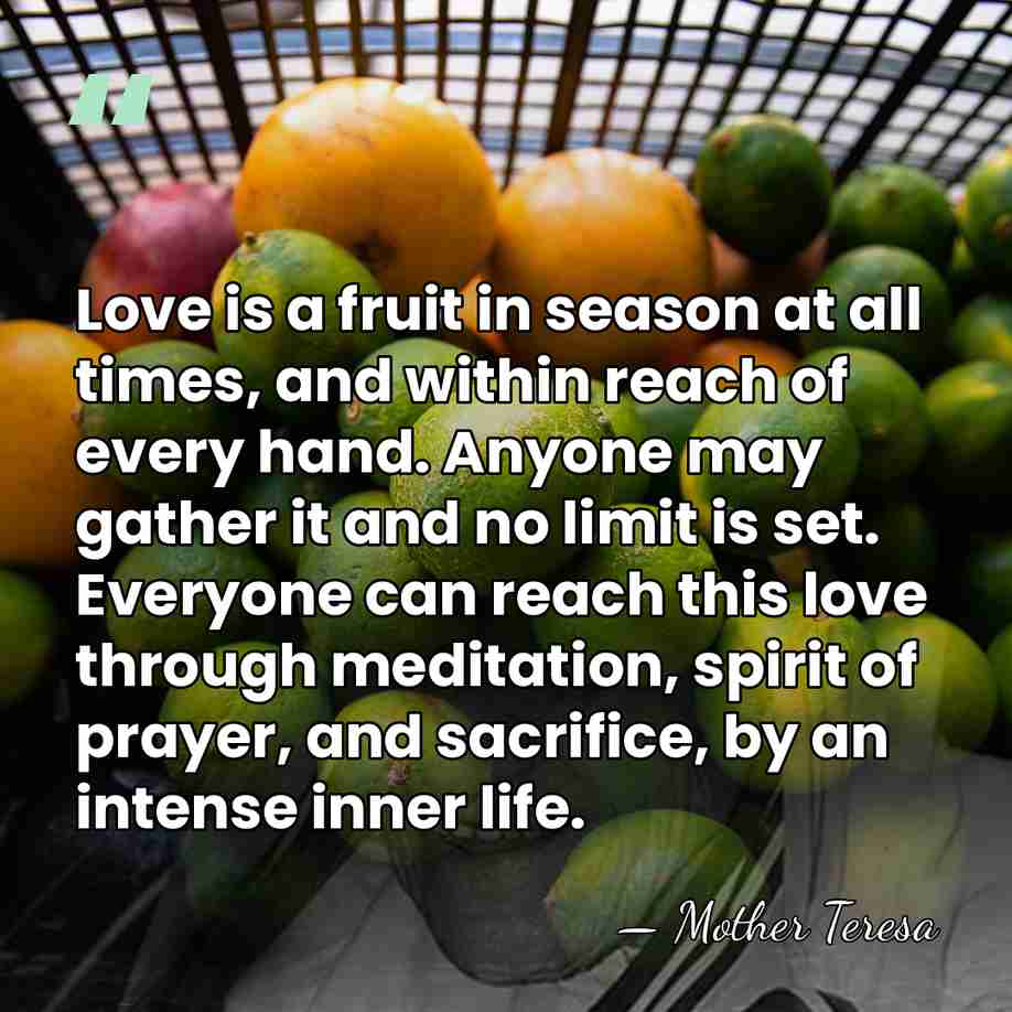 Love is a fruit in season at all times, and within reach&hellip; - Mother Teresa