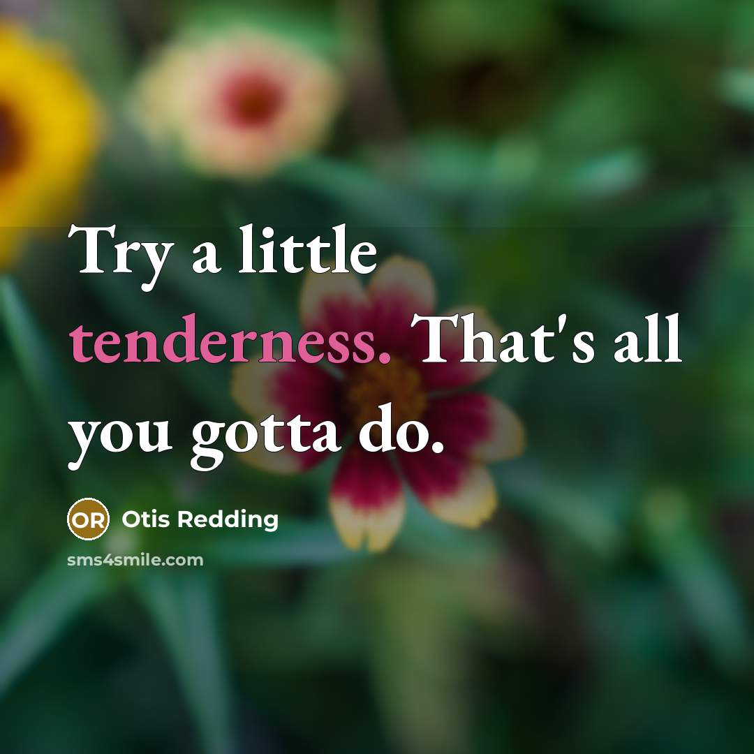 “Try a little tenderness. That's all you gotta do.” quote by Otis Redding