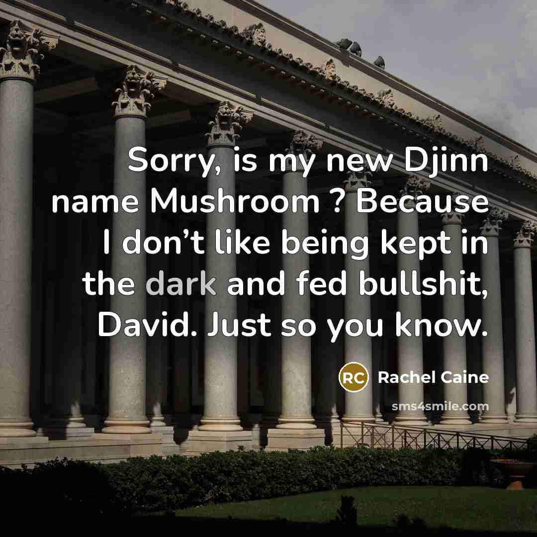 “Sorry, is my new Djinn name Mushroom ? Because I…” quote by Rachel Caine