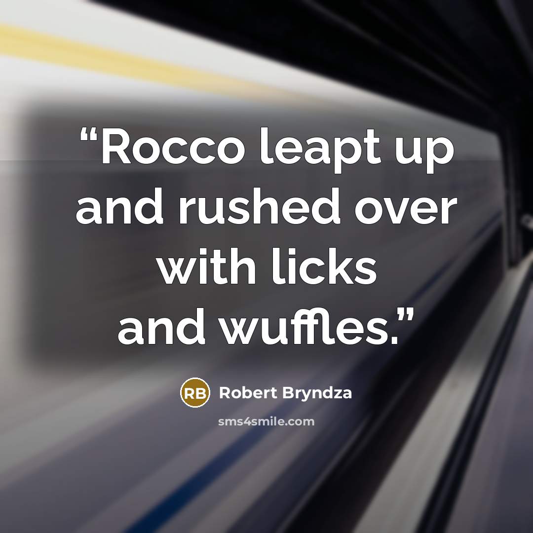 “Rocco leapt up and rushed over with licks and wuffles.” quote by Robert Bryndza