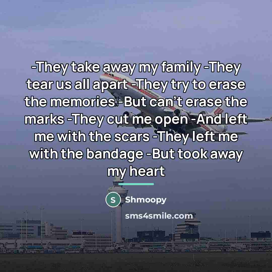 “-They take away my family -They tear us all apart…” quote by Shmoopy