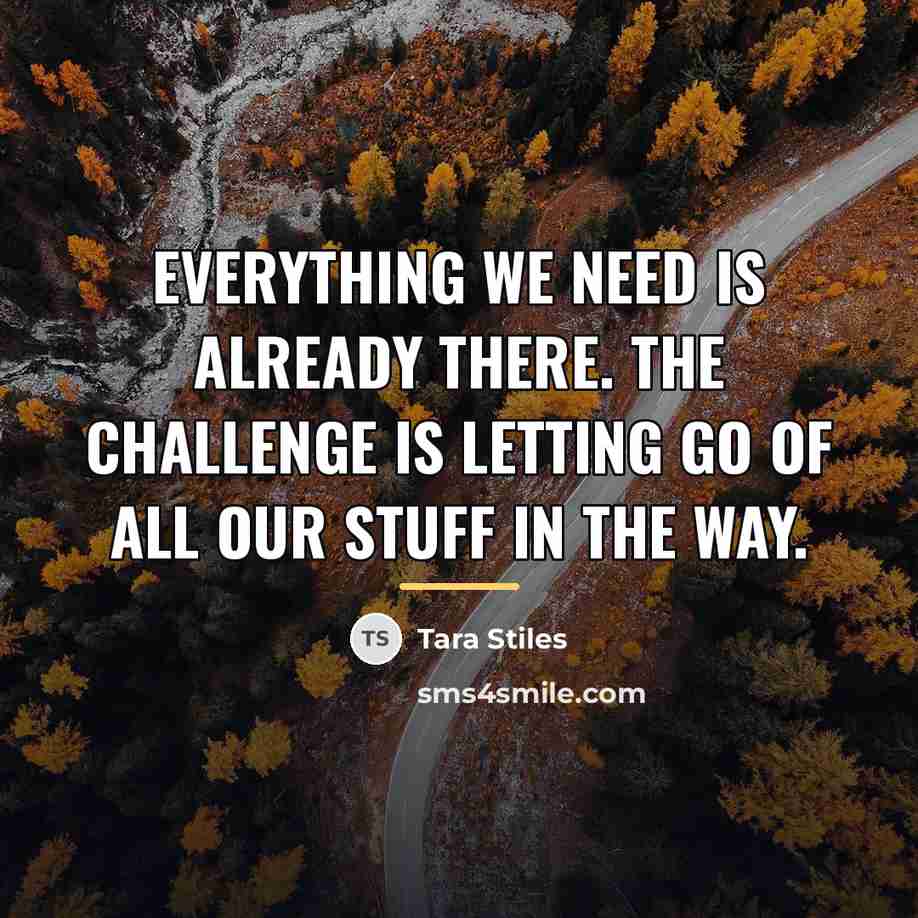 “Everything we need is already there. The challenge is letting…” quote by Tara Stiles