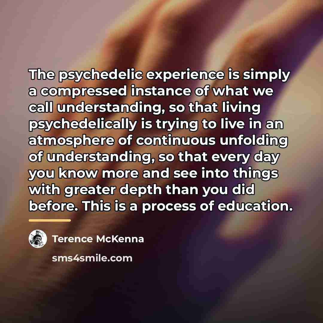 “The psychedelic experience is simply a compressed instance of what…” quote by Terence McKenna