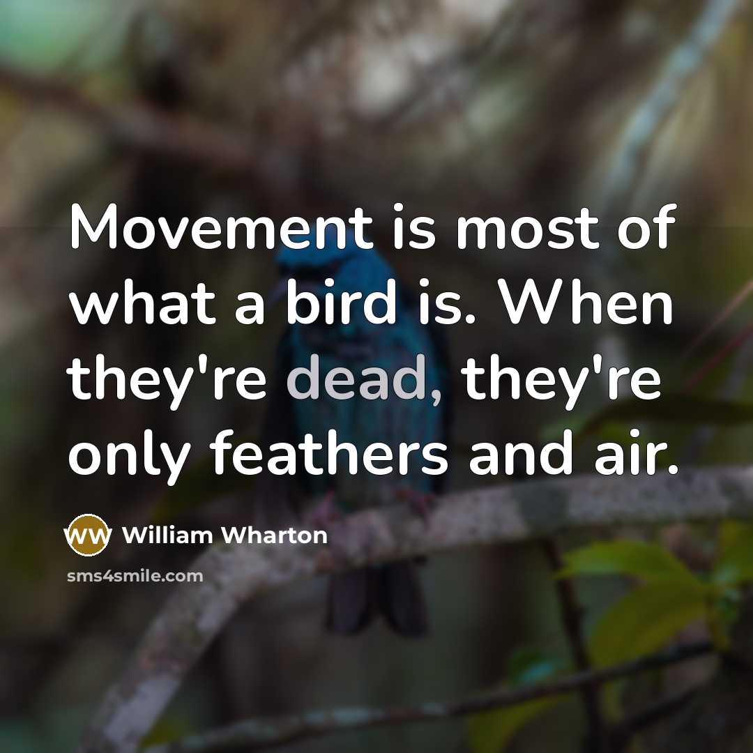 “Movement is most of what a bird is. When they're…” quote by William Wharton