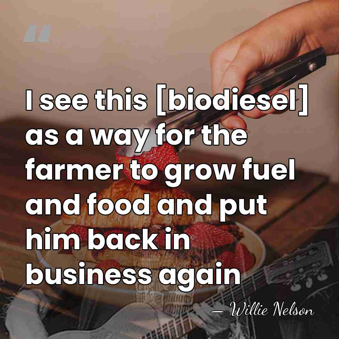 I see this [biodiesel] as a way for the farmer to grow&hellip; - Willie Nelson