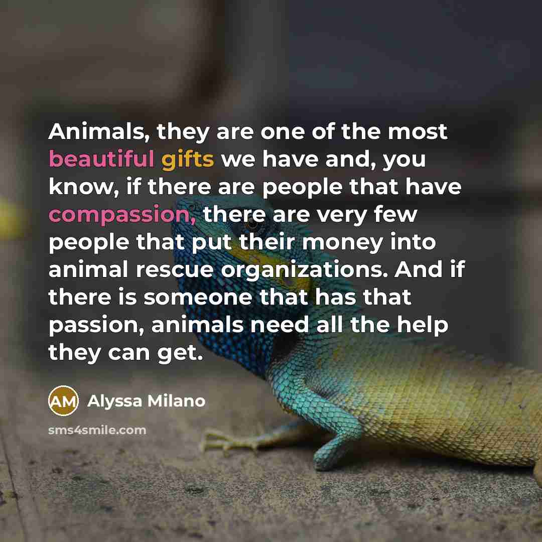 “Animals, they are one of the most beautiful gifts we…” quote by Alyssa Milano