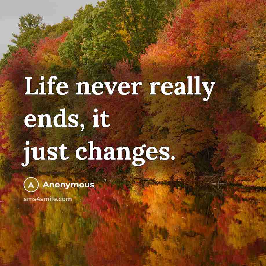 “Life never really ends, it just changes.” quote by Anonymous
