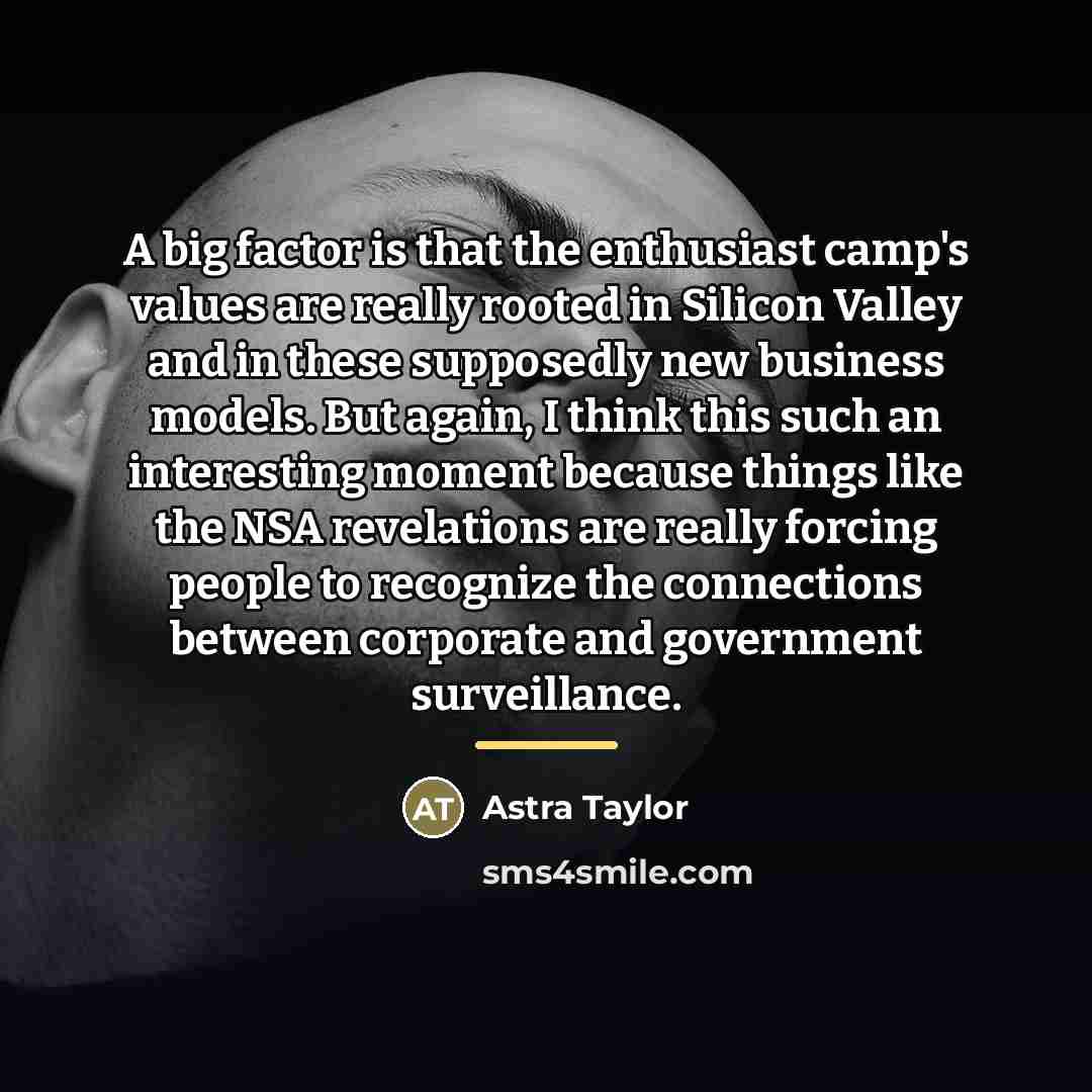 “A big factor is that the enthusiast camp's values are…” quote by Astra Taylor