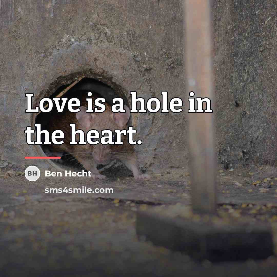 “Love is a hole in the heart.…” quote by Ben Hecht