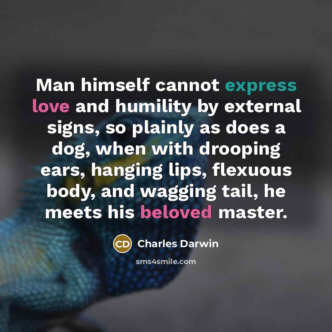 “Man himself cannot express love and humility by external signs, so plainly as does a dog, when with drooping ears, hanging lips, flexuous body, and wagging tail, he meets his beloved master.” quote by Charles Darwin