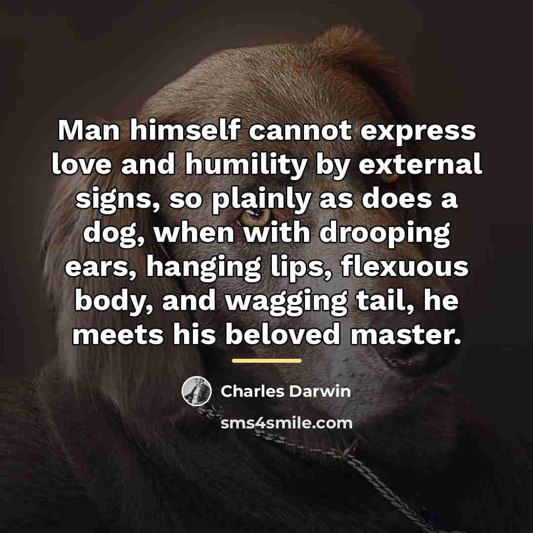 “Man himself cannot express love and humility by external signs,…” quote by Charles Darwin