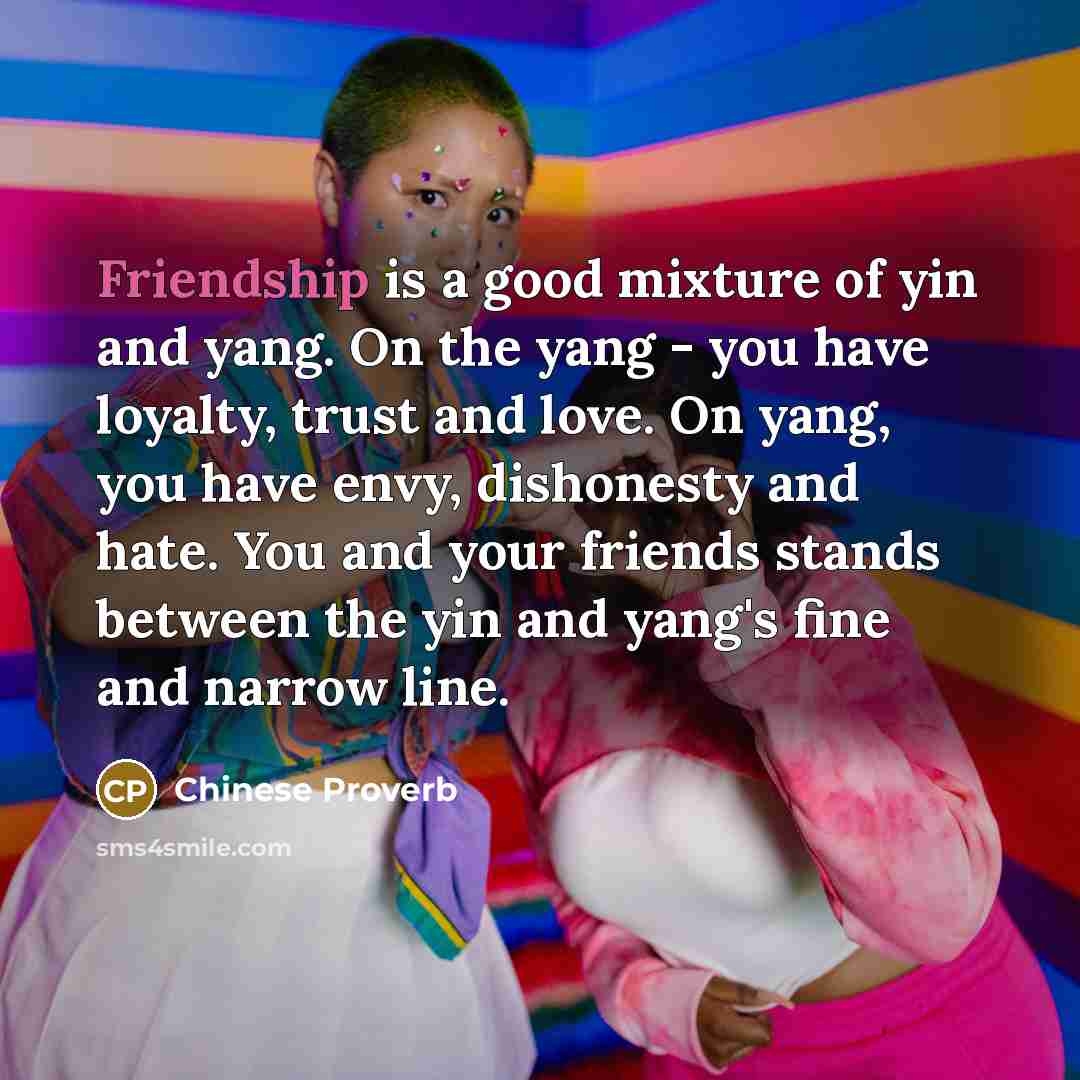 “Friendship is a good mixture of yin and yang. On…” quote by Chinese Proverb