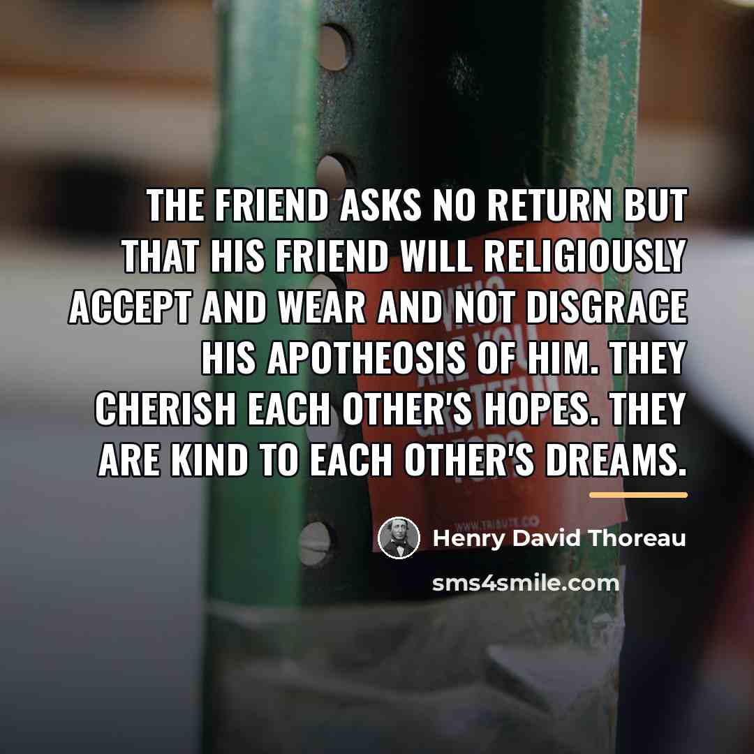 “The Friend asks no return but that his Friend will…” quote by Henry David Thoreau