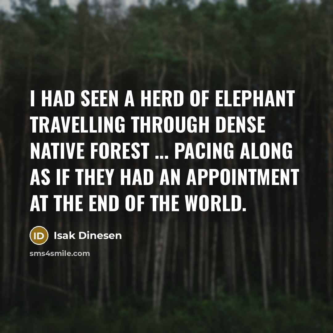 “I had seen a herd of Elephant travelling through dense…” quote by Isak Dinesen