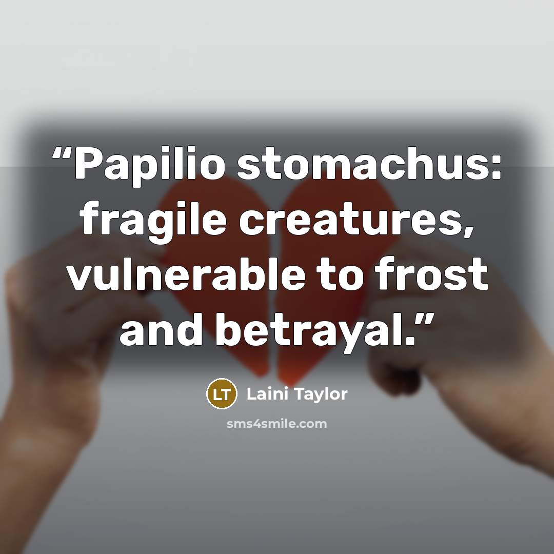 “Papilio stomachus: fragile creatures, vulnerable to frost and betrayal.” quote by Laini Taylor