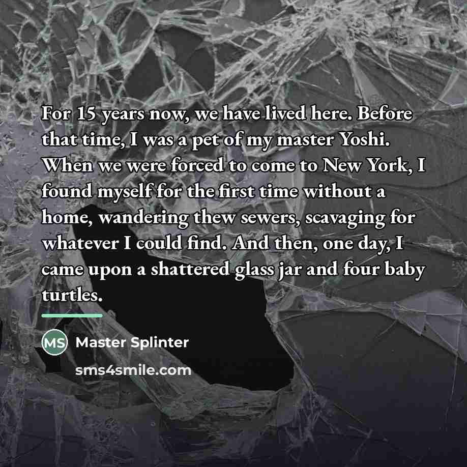 “For 15 years now, we have lived here. Before that…” quote by Master Splinter