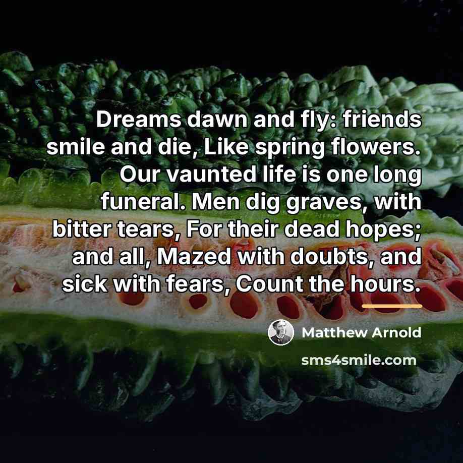 “Dreams dawn and fly: friends smile and die, Like spring…” quote by Matthew Arnold