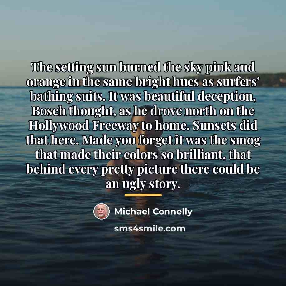 “The setting sun burned the sky pink and orange in…” quote by Michael Connelly