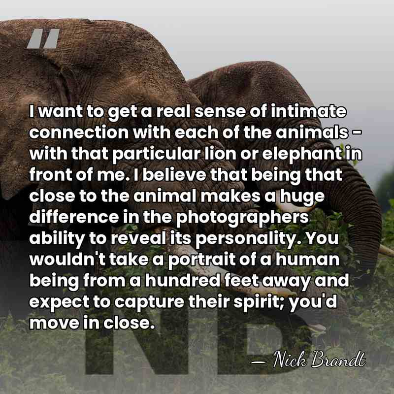 I want to get a real sense of intimate connection with each&hellip; - Nick Brandt