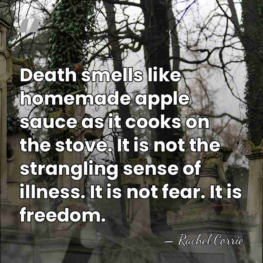 Death smells like homemade apple sauce as it cooks on the stove.&hellip; - Rachel Corrie