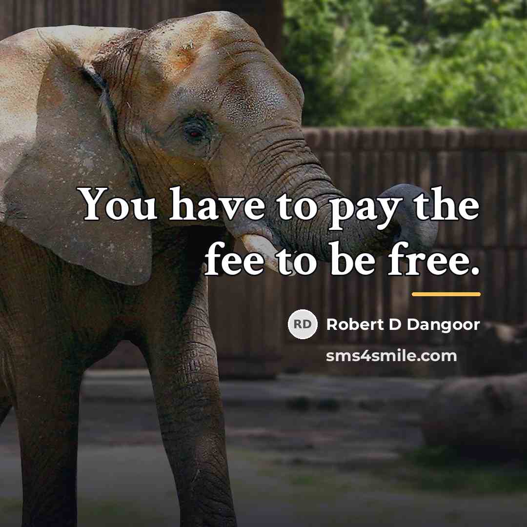 “You have to pay the fee to be free.…” quote by Robert D Dangoor