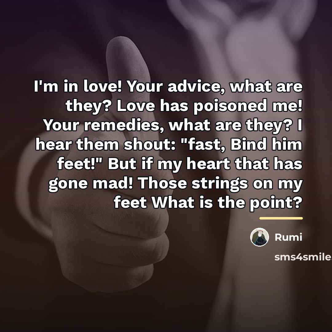 “I'm in love! Your advice, what are they? Love has…” quote by Rumi
