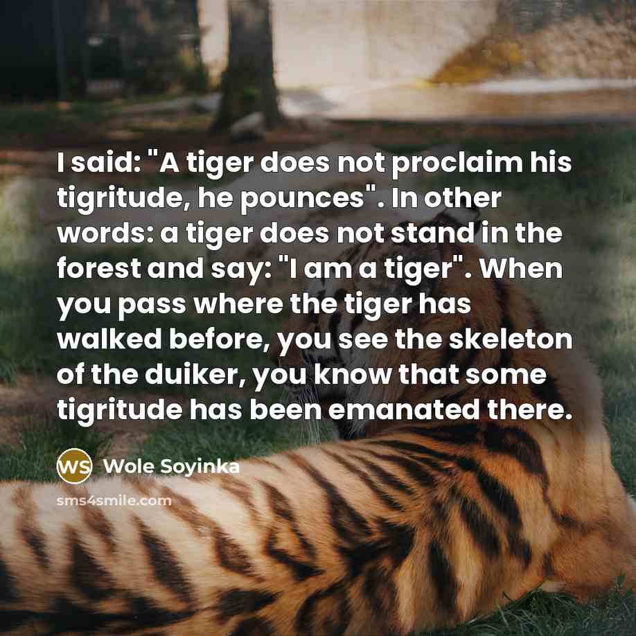 “I said: "A tiger does not proclaim his tigritude, he…” quote by Wole Soyinka
