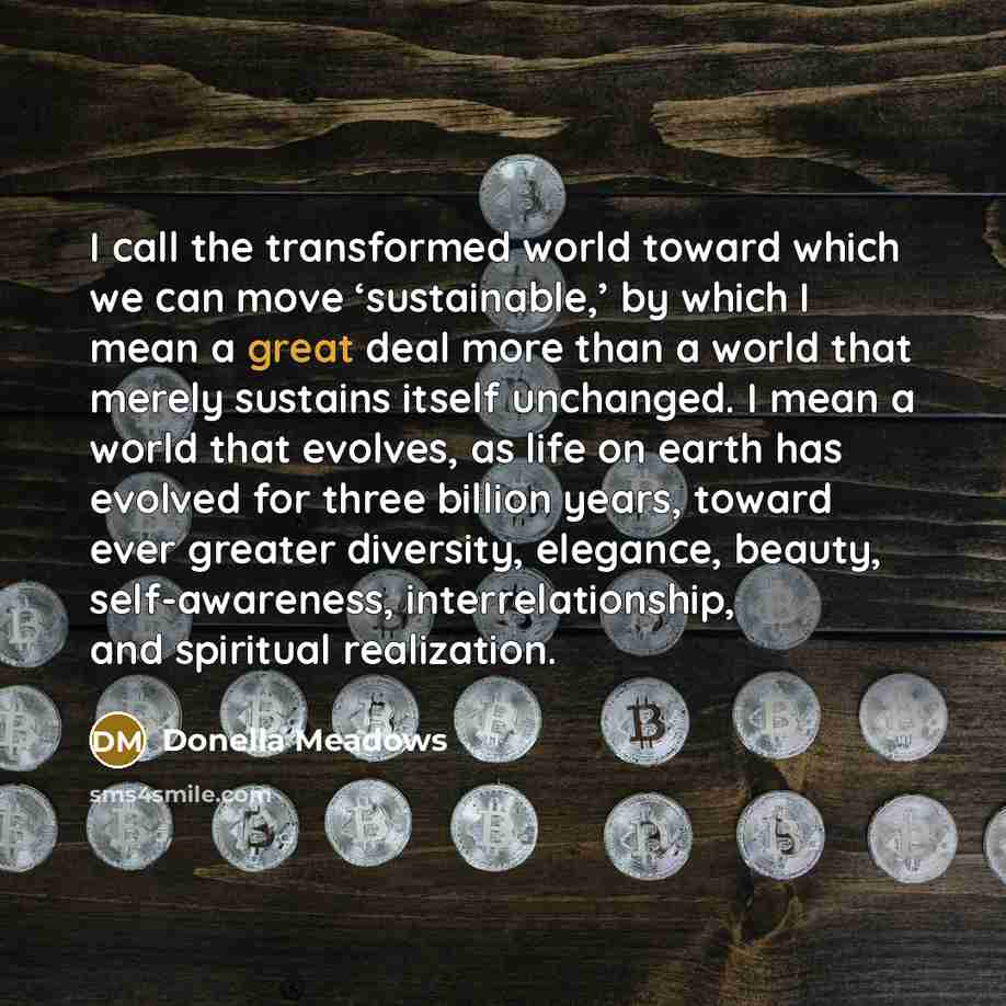 “I call the transformed world toward which we can move…” quote by Donella Meadows