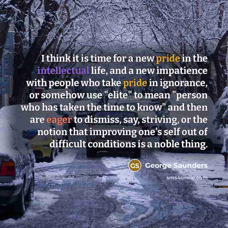 “I think it is time for a new pride in…” quote by George Saunders
