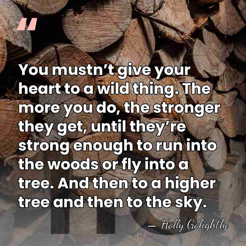 You mustn’t give your heart to a wild thing. The more you&hellip; - Holly Golightly