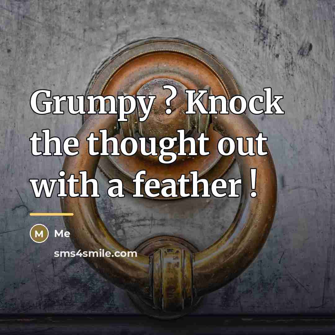 “Grumpy ? Knock the thought out with a feather !…” quote by Me