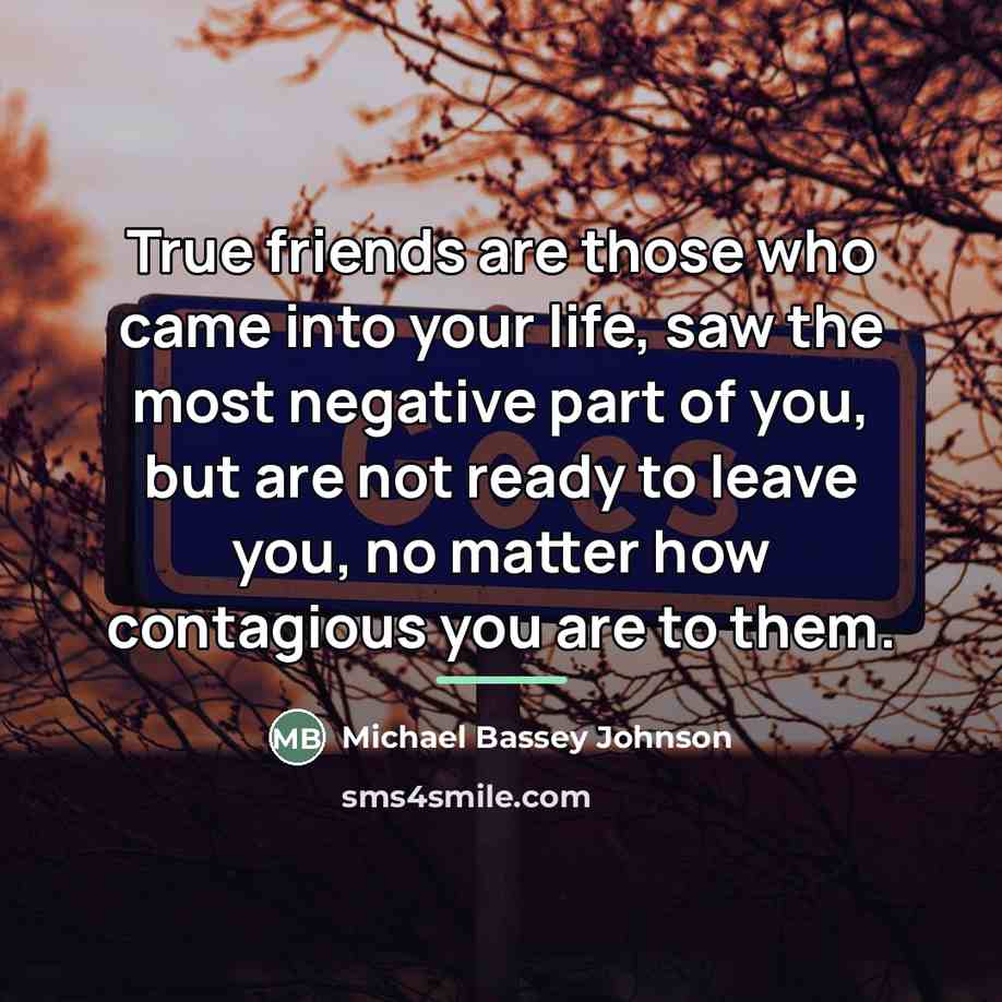 “True friends are those who came into your life, saw…” quote by Michael Bassey Johnson