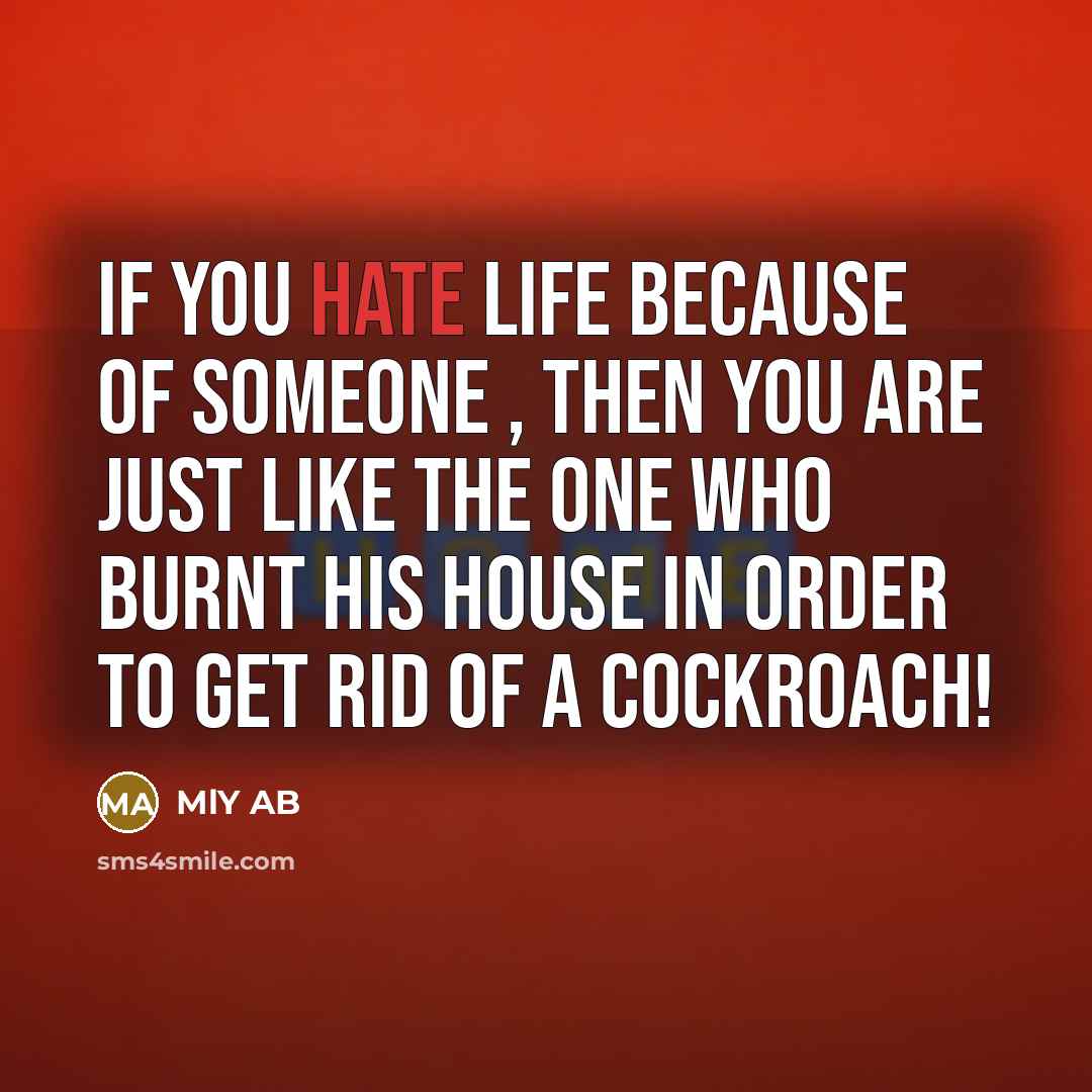 “If you hate life because of someone , then you are just like the one who burnt his house in order to get rid of a cockroach!” quote by MLY AB