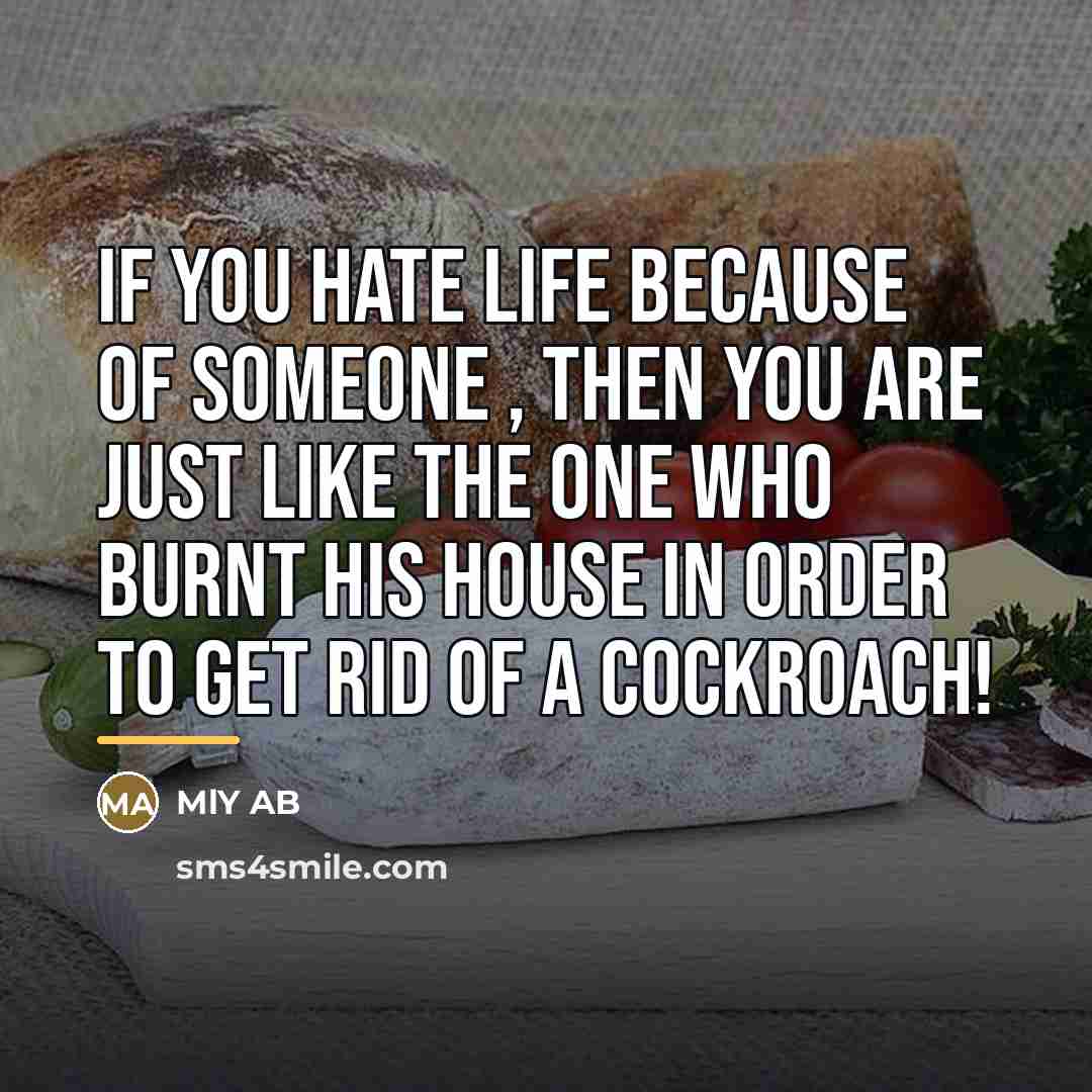 “If you hate life because of someone , then you…” quote by MLY AB