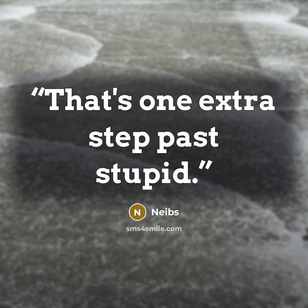 “That's one extra step past stupid.” quote by Neibs