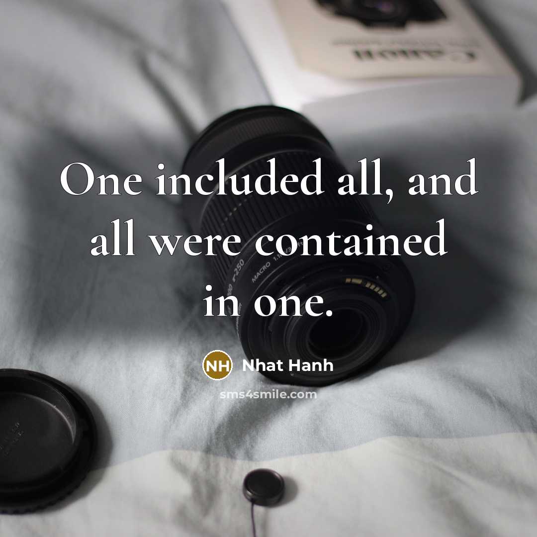“One included all, and all were contained in one.…” quote by Nhat Hanh