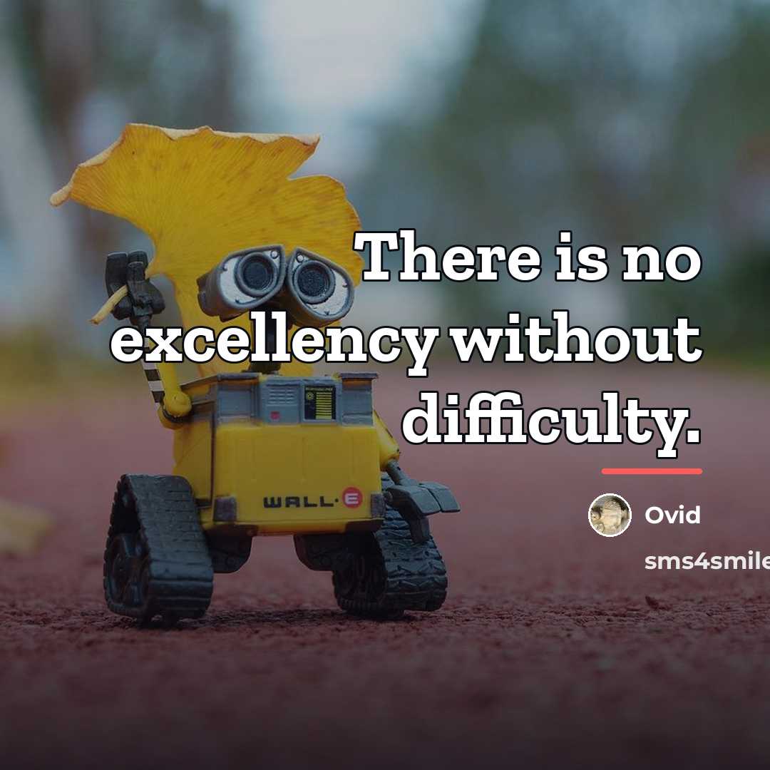 “There is no excellency without difficulty.…” quote by Ovid